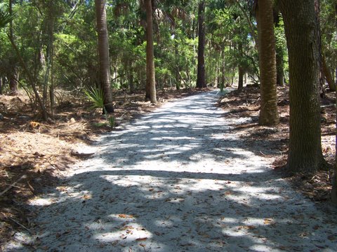 new trail surface
