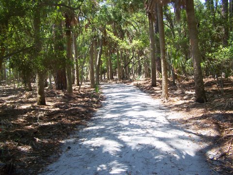 new trail surface