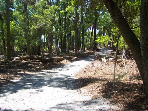 new trail surface