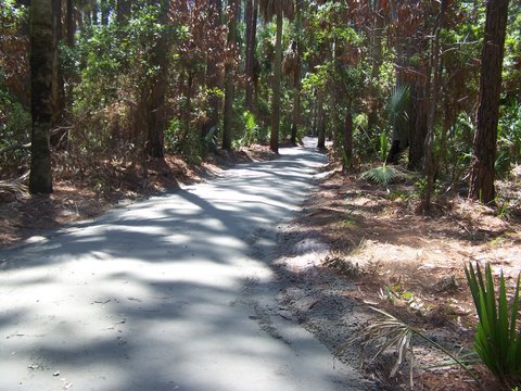 new trail surface