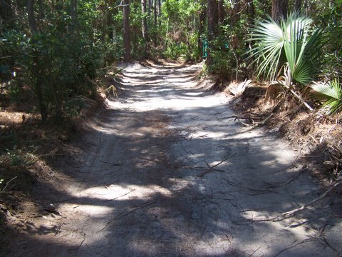 new trail surface