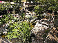 nature center water garden