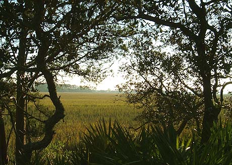 view near sunset