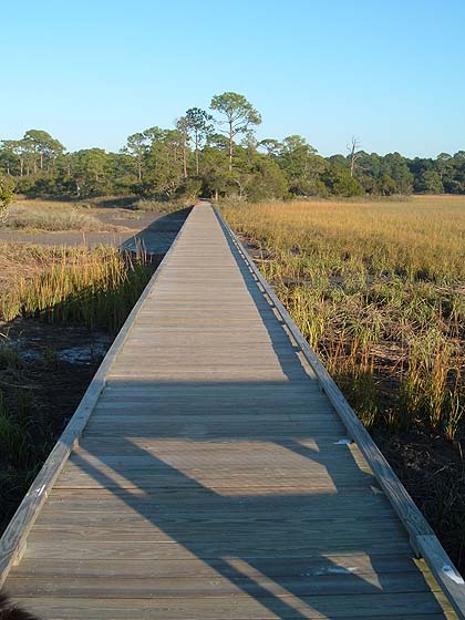 across the marsh