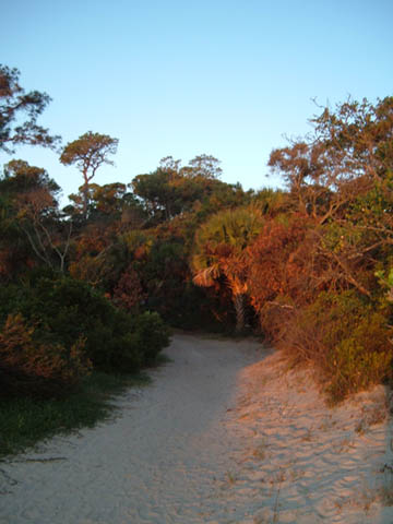 campground beach trail