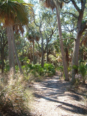 lighthouse trail