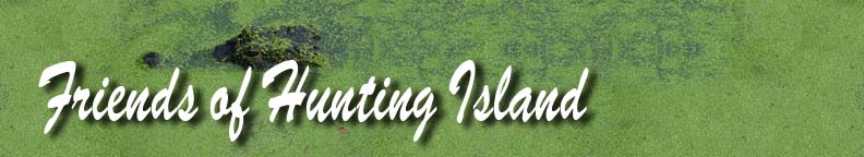 Friends of Hunting Island