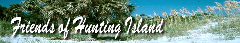 Friends of Hunting Island