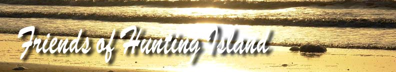 Friends of Hunting Island