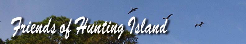 Friends of Hunting Island