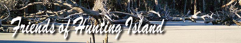 Friends of Hunting Island