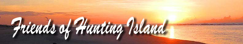 Friends of Hunting Island
