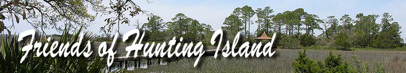 Friends of Hunting Island