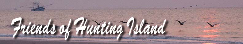 Friends of Hunting Island