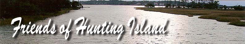 Friends of Hunting Island