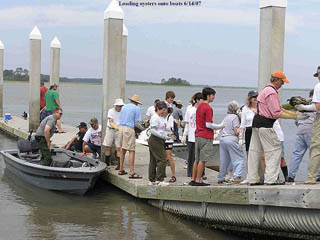 loading oyster reef materials