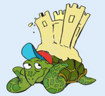 turtle sand