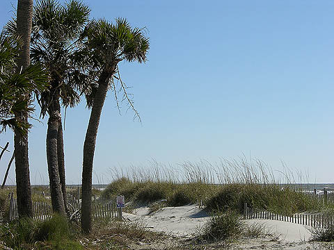 sand dune