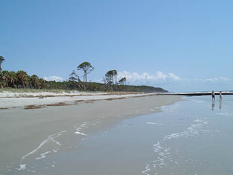 renourished beach