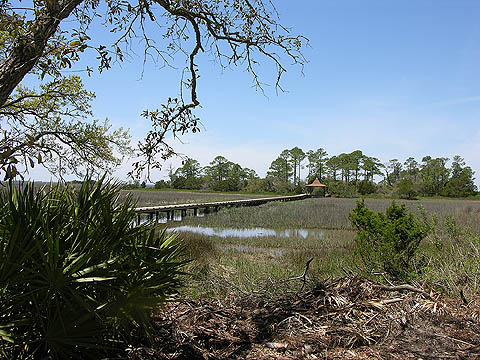 marsh boardwalk