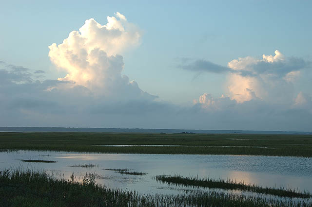 marsh view