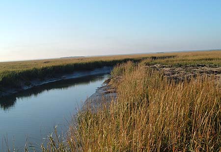 marsh creek