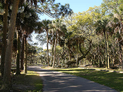 road in the south beach parking lot