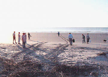 Nest #2 Beach