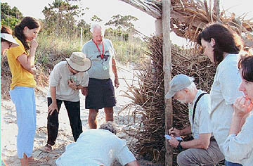 Nest #4 Counting Eggs
