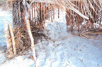 Nest #4 Obstacle
