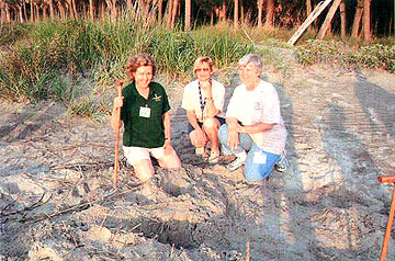 Nest #7 Team