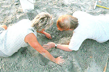 Nest #15 Diggers