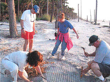 Nest #22 Protective Netting