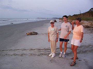 Triumphant Turtle Ladies