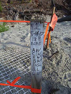 Nest #1 Marker