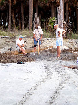 Nest #10 Probing