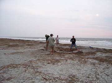 Nest #13 Body Pit in the Sea Wrack