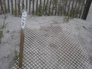 Nest #14 Settled & Marked