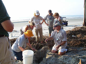 Nest #15 Team