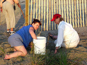 Nest #20 Digging