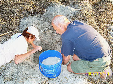 Nest #34 Careful Removal