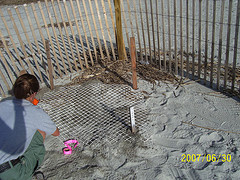 Nest #37 A Safe Spot