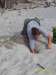 Nest #38 Laurel Digging