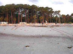 Nest #46 Crawl at the Campground