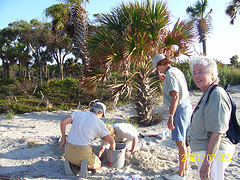 Nest #50 Digging Them Out