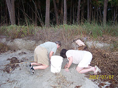 Nest #53 Move It Out of the Wrack