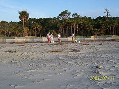 Nest #54 Team at Work