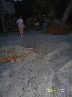 Nest #59 Showing Beach Erosion