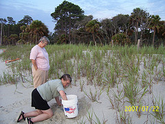 Nest #59 A Better Location