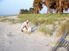 Nest 62 Rebuilding the Nest